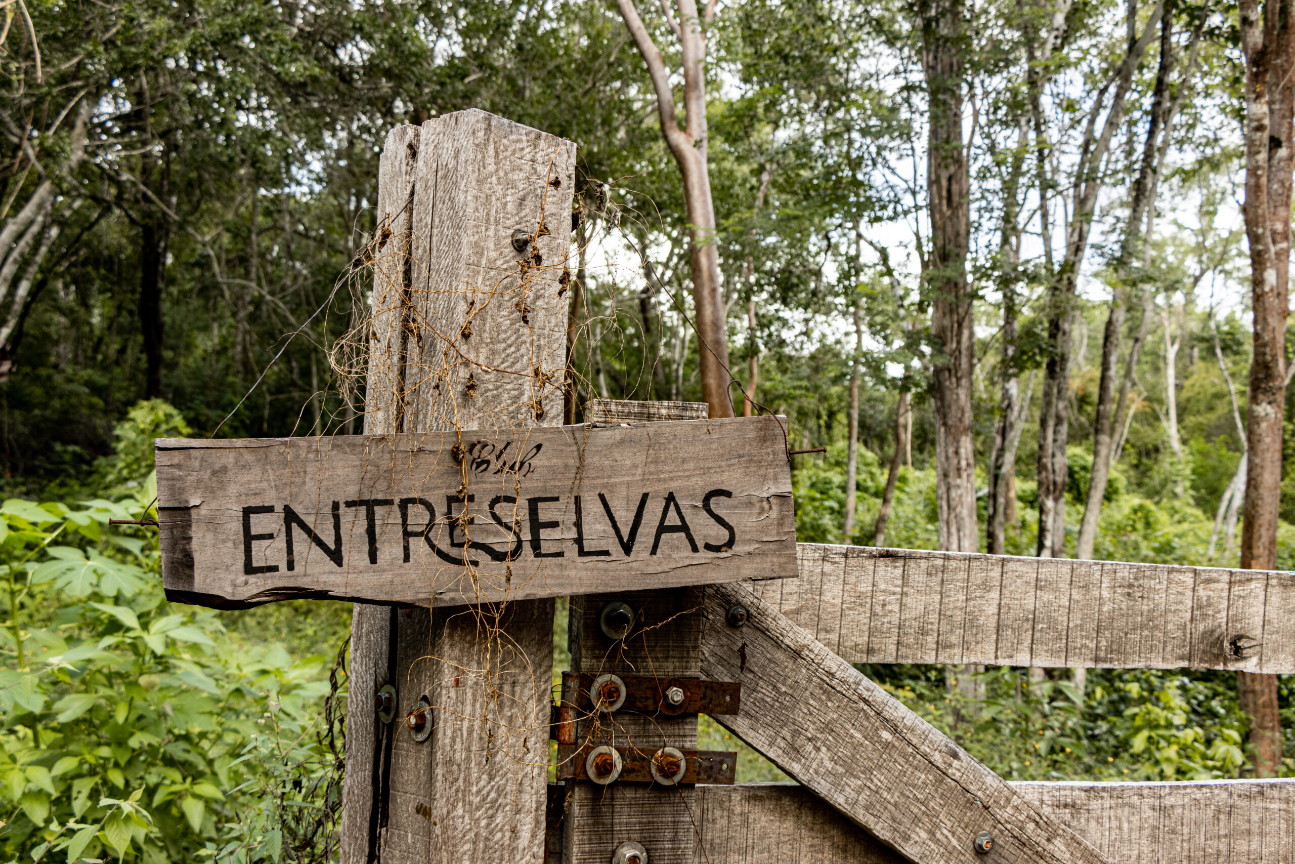 ENTRESELVAS x Land Rover