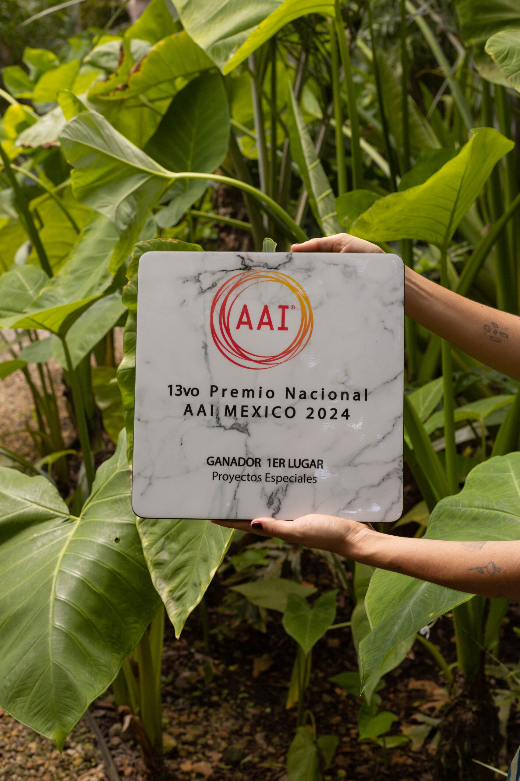 Maní, Primer Lugar en AAI Nacional en la categoría de Proyectos Especiales